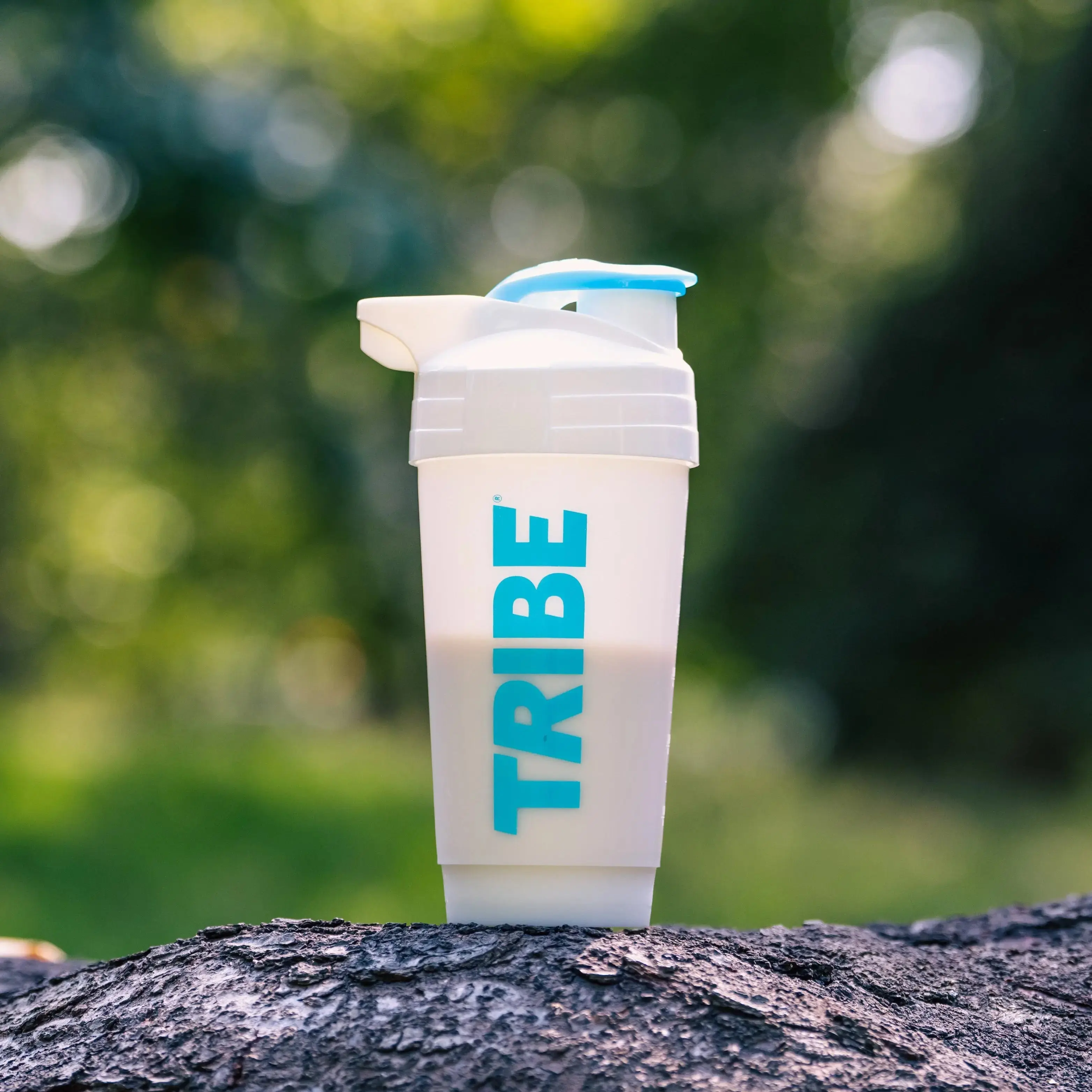 PROTEIN SHAKES